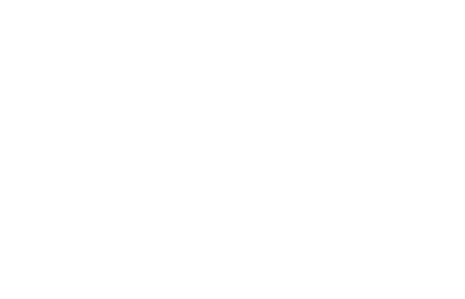 Stake casino logo
